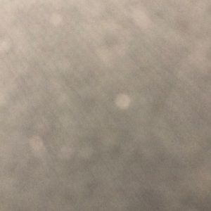 Meet your Posher, Britney